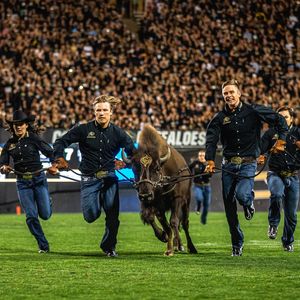 Image post by @cubuffsralphie on Instagram