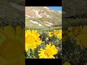 Video post by @kcmikeadventures on YouTube