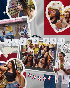 Image post by @dsa_fsu on Instagram