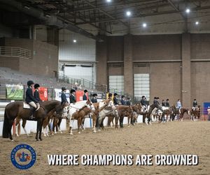 Image post by @american_royal on Instagram