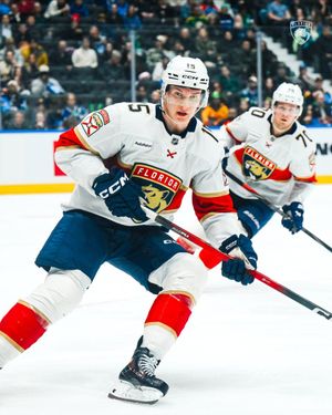 Image post by @FlaPanthers on Twitter