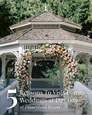 Image post by @disneyweddings on Instagram