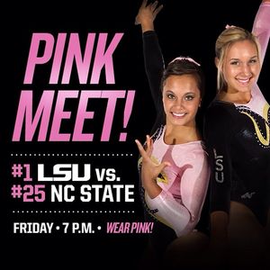 Image post by @lsugym on Instagram
