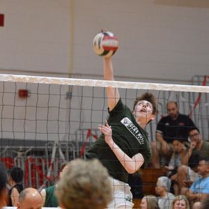 Image post by @laubhan.visuals on Instagram