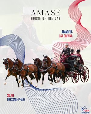 Image post by @usequestrian on Instagram