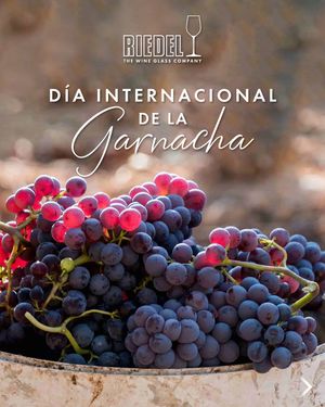Image post by @riedelpartner_vnzla on Instagram