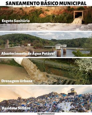 Image post by @operitoambiental on Instagram