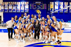 Image post by @hofstravb on Instagram