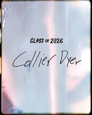 Image post by @mizzouswimdive on Instagram