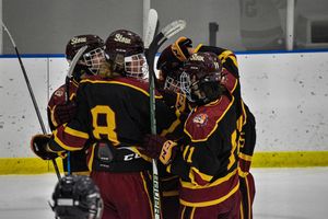 Image post by @amizusha on Instagram