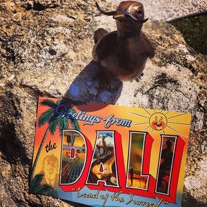 Image post by @dalimuseum on Instagram