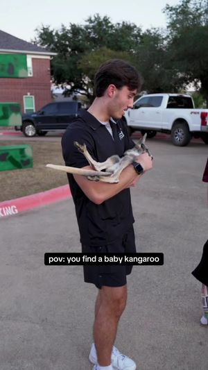 Video post by @timhofacker on TikTok