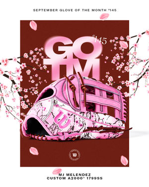 Image post by @wilsonballglove on Instagram