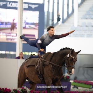 Image post by @usequestrian on Instagram