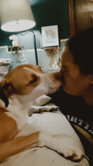 Video post by @alyshiafaith on Instagram