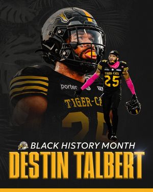 Image post by @hamiltontigercats on Instagram