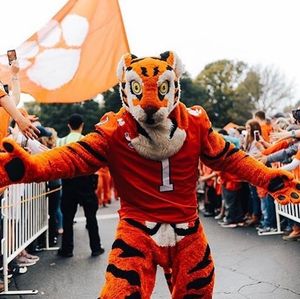 Image post by @thetiger_cu on Instagram