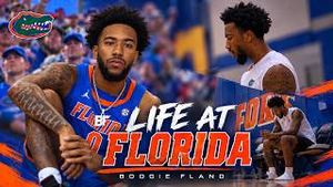 Video post by @theboogiefland on YouTube