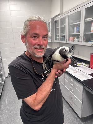Image post by @denverzoo on Instagram