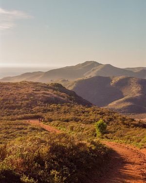 Image post by @connorpickett on Instagram