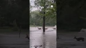 Video post by @accuweather on YouTube