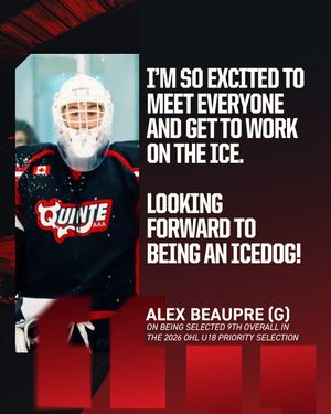 Image post by @ohlicedogs on Instagram