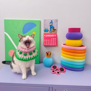 Image post by @champagneunicorns on Instagram