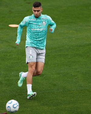 Image post by @palmeiras on Instagram