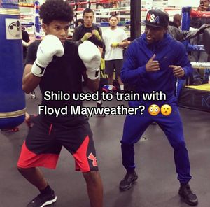 Video post by @shilosandersclips on TikTok