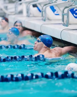 Image post by @byuswimdive on Instagram