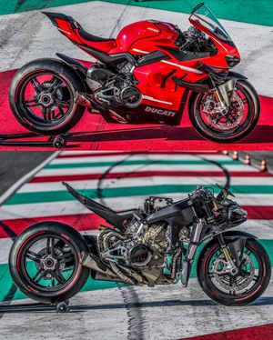 Image post by @panigalers on Instagram