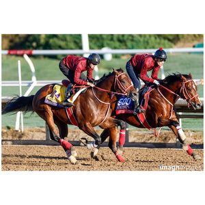 Image post by @davidfrerkersportsphotography on Instagram