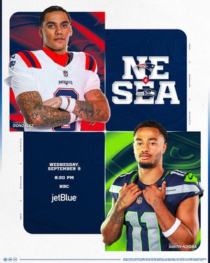 Image post by @patriots on Instagram