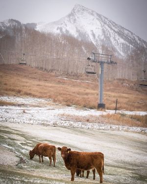 Image post by @skicrestedbutte on Instagram