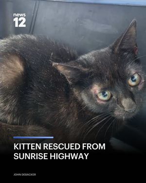 Image post by @news12li on Instagram