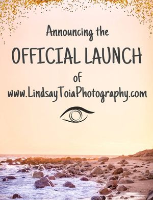 Image post by @lindsaytoiaphotography on Facebook