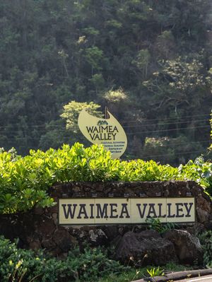 Image post by @openkitchenoahu on Instagram