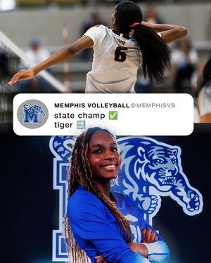 Image post by @MemphisVBall on Twitter