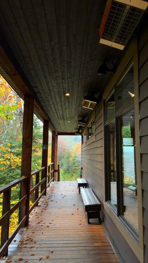Video post by @morgan.exploring on TikTok