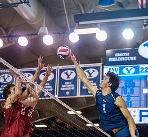 Image post by @dailyunivsports on Instagram