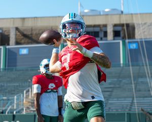 Image post by @greenwavefb on Instagram