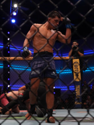 Video post by @ufc on TikTok