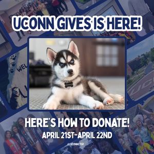 Image post by @uconncfsd on Instagram