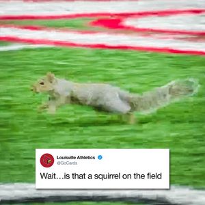 Video post by @GoCards on Facebook