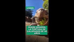Video post by @laopinionla on YouTube