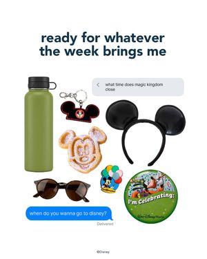 Image post by @officialdisneyprograms on Instagram