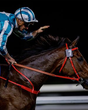 Image post by @worldhorseracing on Instagram