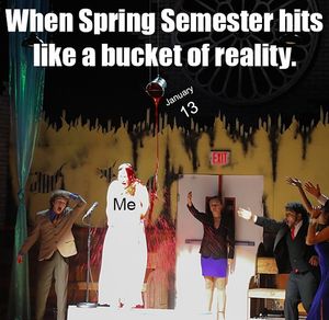 Image post by @skyline_college on Instagram