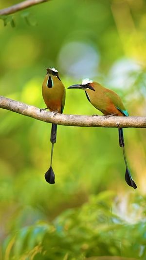 Video post by @bbcearth on Instagram