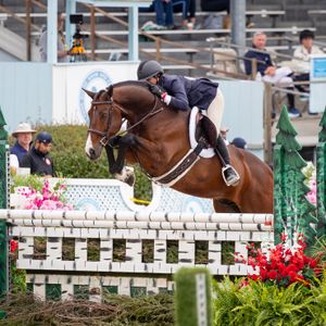 Image post by @usequestrian on Instagram